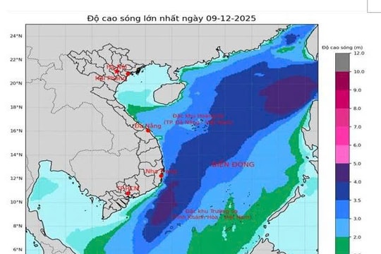Biển Lâm Đồng xuất hiện gió mạnh cấp 6 - 7, sóng cao 2 - 4m