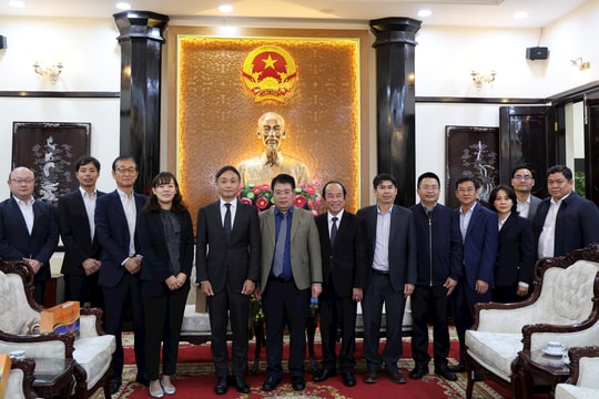 Lâm Đồng tiếp Đoàn JETRO tìm hiểu về môi trường đầu tư