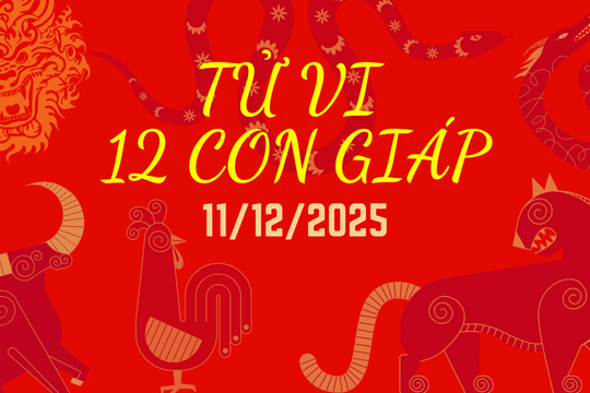 Tử vi hàng ngày của 12 con giáp thứ Năm, ngày 11/12/2025: Thân có lộc ăn, Hợi "lụm lúa"