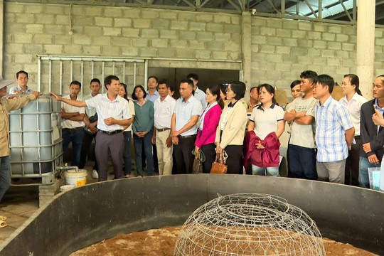 Từ phế phẩm đến giá trị xanh cho nông thôn mới