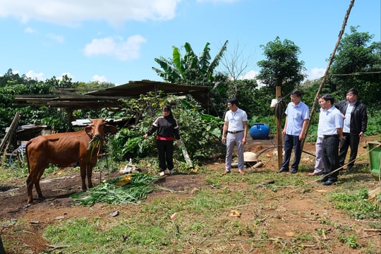 Nâng chất lượng nhân lực để giảm nghèo bền vững