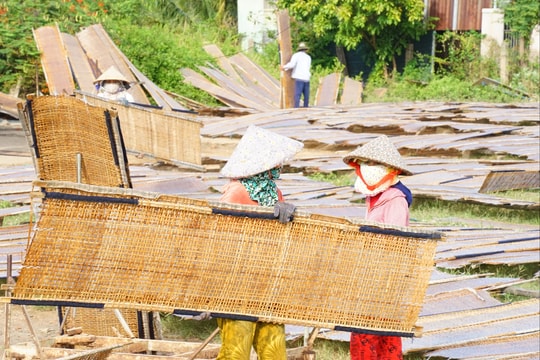 Sức sống mới nơi vùng lũ đi qua