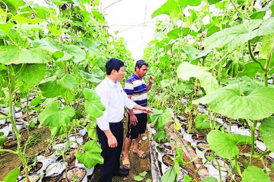 Hướng đi mới cho nông nghiệp hiện đại và bền vững