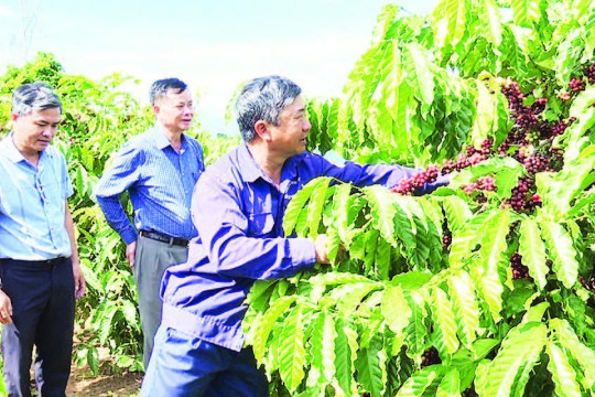 Củng cố nền tảng chính trị từ cơ sở