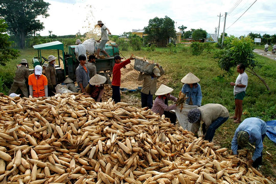 Xã miền núi Hàm Thạnh và mục tiêu đạt chuẩn nông thôn mới