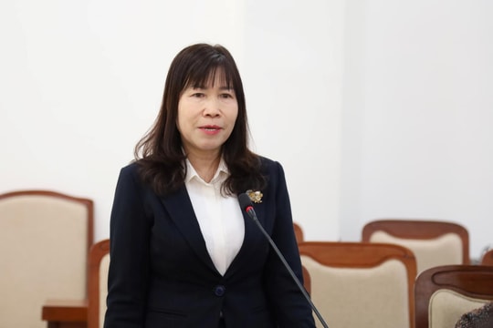 Lâm Đồng tiếp nhận hơn 208 tỷ đồng hỗ trợ khắc phục hậu quả thiên tai