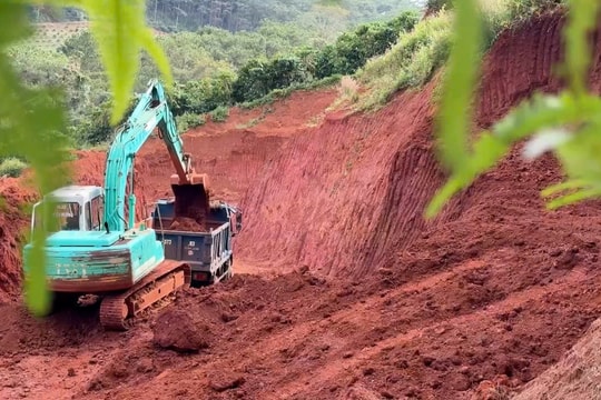 San gạt đất rầm rộ, rừng thông ở xã Bảo Lâm 4 bị đe dọa