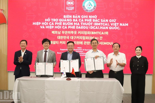 Đắk Lắk tiên phong đưa cà-phê đặc sản Việt Nam Robusta vươn ra thế giới
