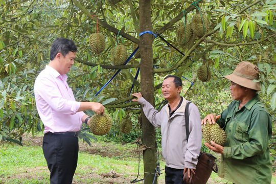Lâm Đồng khơi thông dòng vốn cho lĩnh vực tam nông