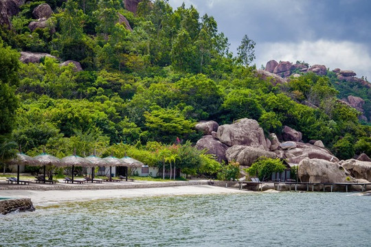 Bãi Sao Biển Cam Ranh: Vẻ đẹp hoang sơ và trải nghiệm đáng thử