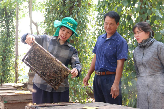Đắk Mil đổi thay trên hành trình xây dựng nông thôn mới
