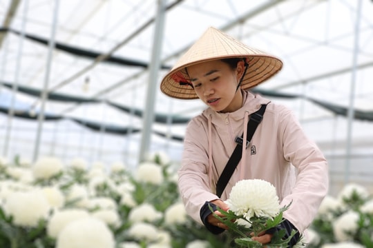 Lâm Đồng tạo sinh kế bền vững cho nông thôn mới