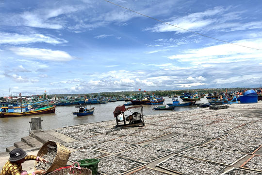 Cá khô các làng chài Lâm Đồng vào vụ tết