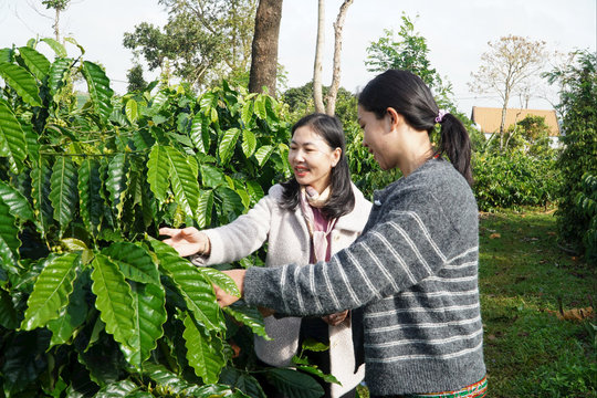 Phát huy vai trò lãnh đạo của Đảng trong giảm nghèo vùng dân tộc thiểu số