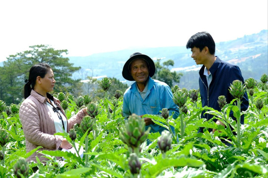 Giảm nghèo nhờ thay đổi tư duy sản xuất