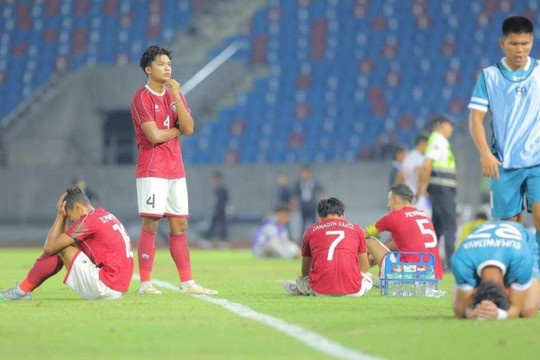 CĐV Indonesia: 'Việt Nam đâu cần cầu thủ nhập tịch để vô địch'