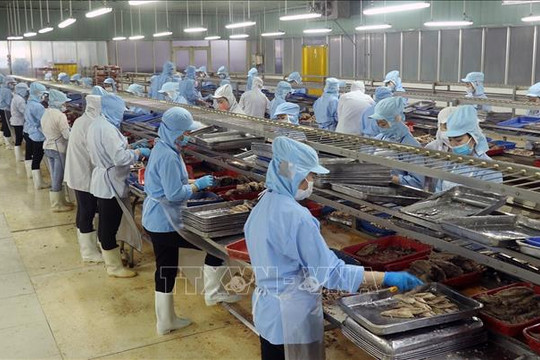 Thủ tướng Chính phủ chỉ đạo thực hiện các nhiệm vụ thúc đẩy tăng trưởng kinh tế
