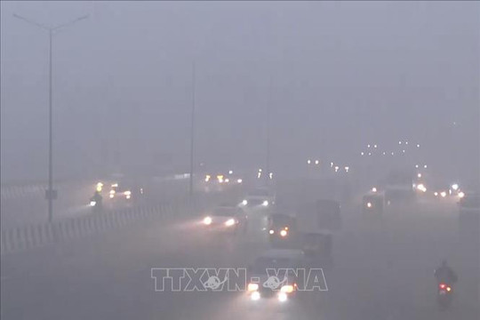 Ấn Độ: Delhi áp dụng biện pháp khẩn cấp đối phó ô nhiễm không khí