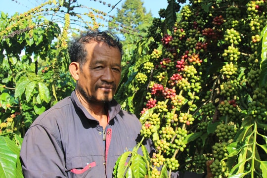 Phát triển hài hòa vùng đồng bào dân tộc thiểu số ở Bảo Lâm 4