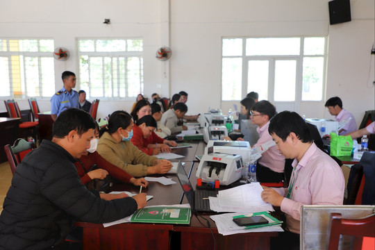 Nhiều hộ đồng bào dân tộc thiểu số Lâm Đồng được vay vốn ưu đãi