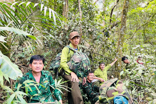 Chuyển biến tích cực trong ngăn chặn phá rừng ở Núi Ông