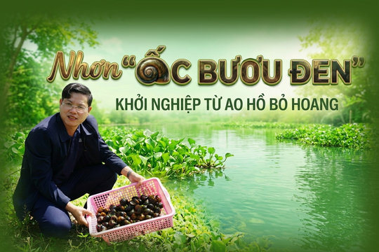 Nhơn “ốc bươu đen” khởi nghiệp từ ao hồ bỏ hoang
