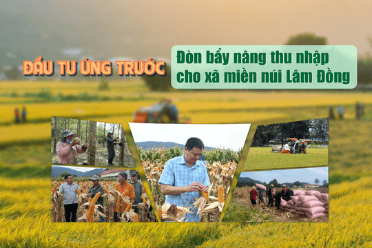 Đầu tư ứng trước - Đòn bẩy nâng thu nhập cho xã miền núi Lâm Đồng