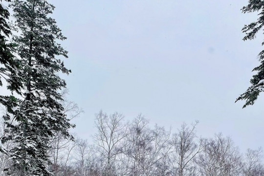 Hokkaido: Khám phá Niseko, thánh địa tuyết bột Nhật Bản