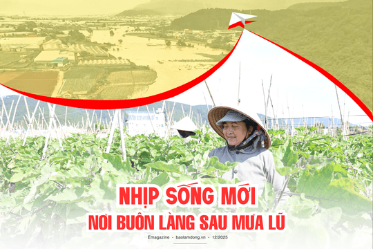 Nhịp sống mới nơi buôn làng sau mưa lũ