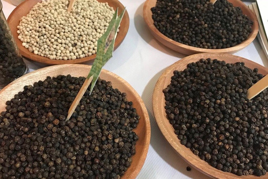 Giá tiêu hôm nay 20/12: Thị trường đi ngang ở mức cao