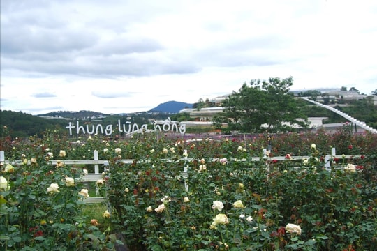 Phường Cam Ly - Đà Lạt đề xuất 12 dự án trọng điểm thu hút đầu tư