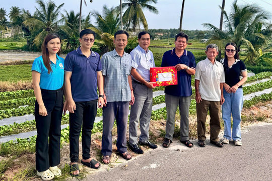 Các HTX nhanh chóng khôi phục sau lũ