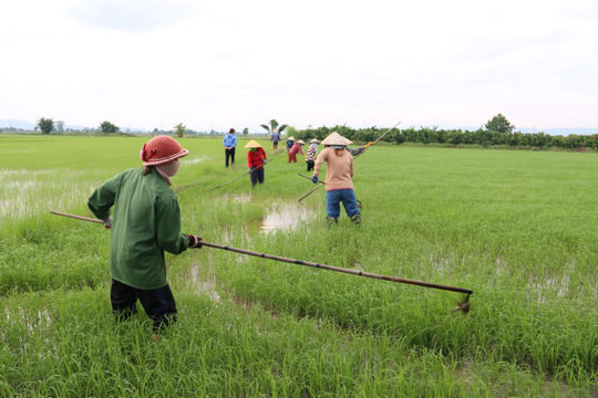 Phụ nữ Lâm Đồng góp sức thay đổi diện mạo kinh tế nông thôn