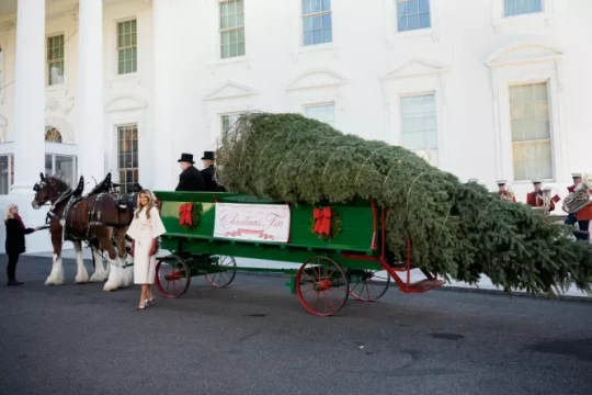Washington D.C.: Trải nghiệm Giáng sinh tại Nhà Trắng năm 2025