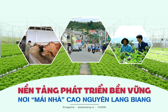 Nền tảng phát triển bền vững nơi “mái nhà” cao nguyên Lang Biang