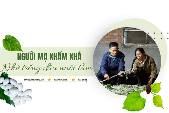 Người Mạ khấm khá nhờ trồng dâu nuôi tằm