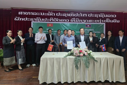 Tỉnh Lâm Đồng hỗ trợ tỉnh Bolykhamxay (Lào) phát triển nông nghiệp