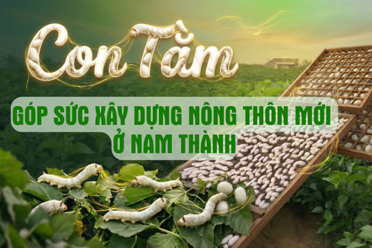 Con tằm góp sức xây dựng nông thôn mới ở Nam Thành