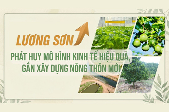 Lương Sơn phát huy mô hình kinh tế hiệu quả, gắn xây dựng nông thôn mới