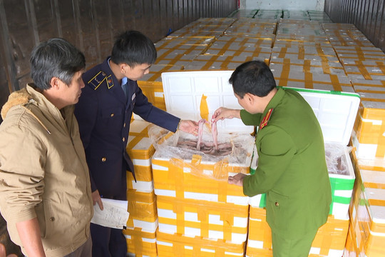 Công an Thanh Hoá: Phát hiện, thu giữ hơn 10 tấn cá khoai sử dụng chất cấm (Formol) để bảo quản