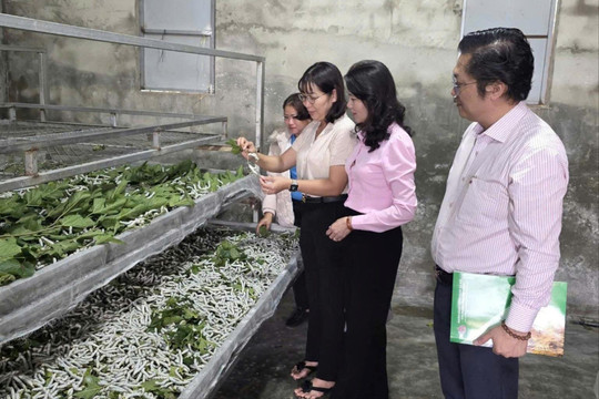 Ninh Gia khơi dậy nội lực, thực hiện mục tiêu giảm nghèo bền vững