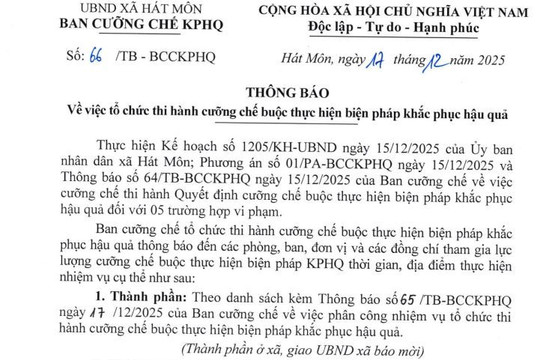 Hà Nội cưỡng chế 5 công trình xây dựng trên đất nông nghiệp tại Hát Môn