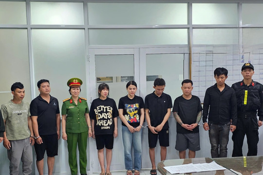 TP.HCM khởi tố 7 đối tượng làm giả thịt bò từ thịt heo