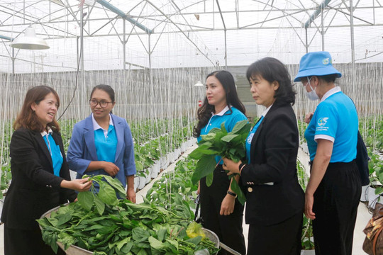 Vai trò “hạt nhân” trong xây dựng nông thôn mới kiểu mẫu ở Ðơn Dương
