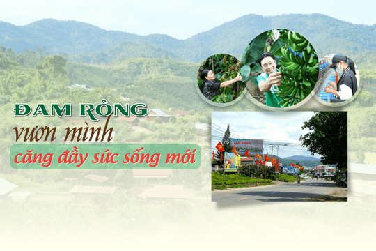 Đam Rông vươn mình căng đầy sức sống mới