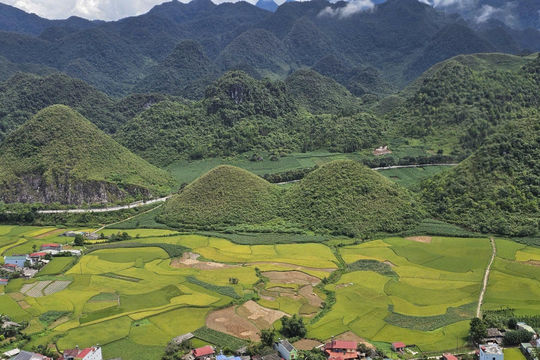 Tour Hà Giang Tết Nguyên Đán 2026, lịch trình chi tiết và điểm đến nổi bật