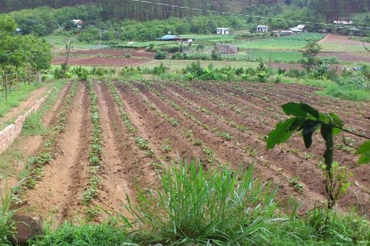 Chính sách bồi thường, tái định cư khi thu hồi đất VAC