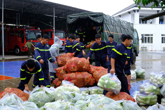 Những bước chân không mỏi...