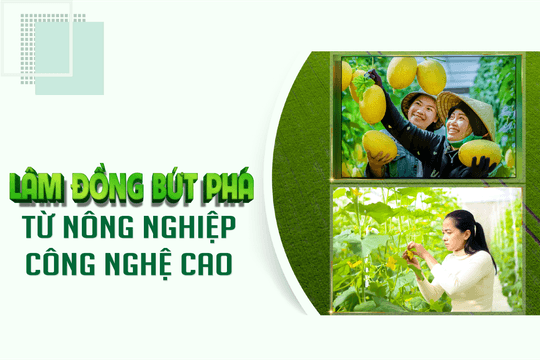 Lâm Đồng bứt phá từ nông nghiệp công nghệ cao