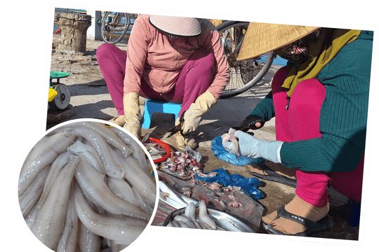 Cá khoai - món ngon dân dã trước nỗi lo tẩm hóa chất